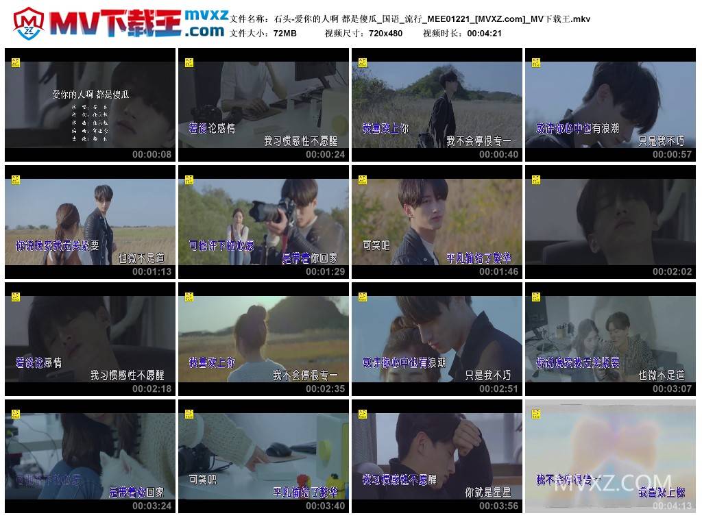 石头-爱你的人啊 都是傻瓜_国语_流行_MEE01221